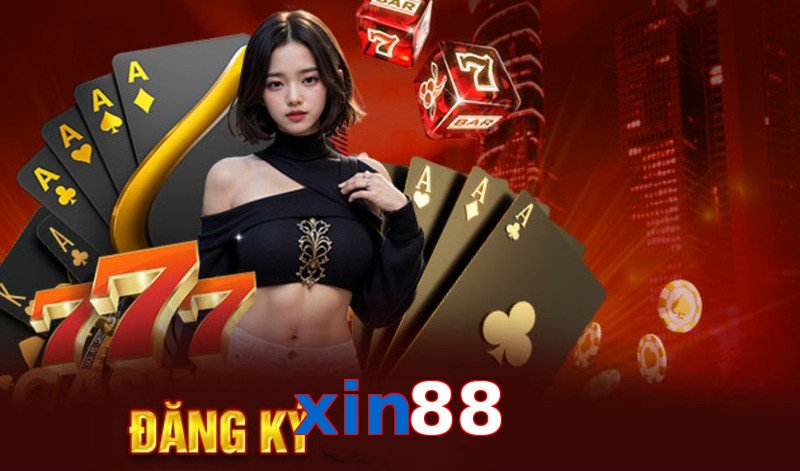 xin88