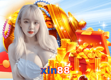 xin88